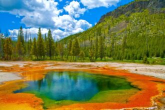 How to Plan a Budget Trip to Yellowstone National Park